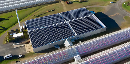 Impulsione o Crescimento da Sua Empresa com a Energia Solar: Sustentabilidade e Economia em Harmonia! ☀️